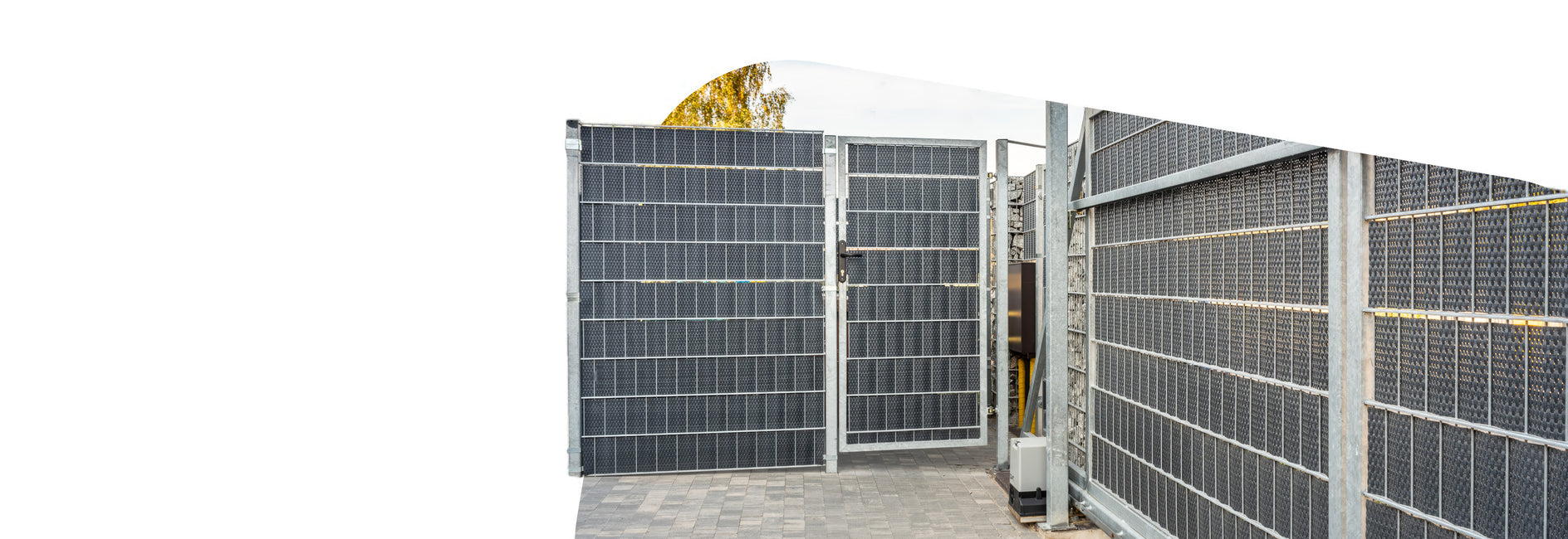 Eingespannter Rattan am Zaun